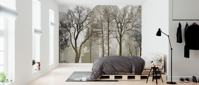 PHOTOWALL / Autum in the Woods (e323381)