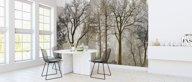 PHOTOWALL / Autum in the Woods (e323381)