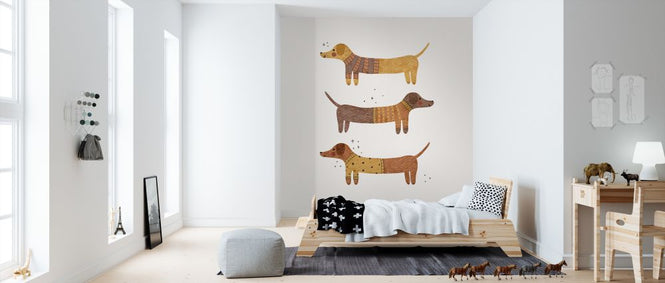 PHOTOWALL / Three badgers (e322954)