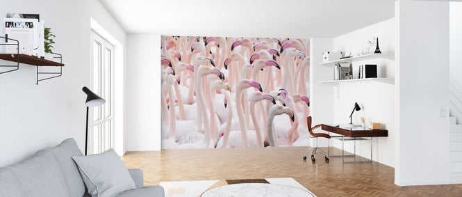 PHOTOWALL / Greater Flamingo Flock (e320154)