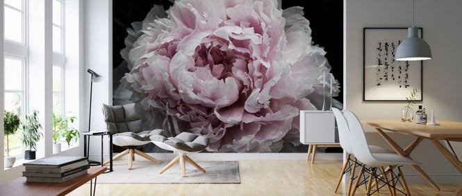 PHOTOWALL / Pink Peony Passion (e320484)
