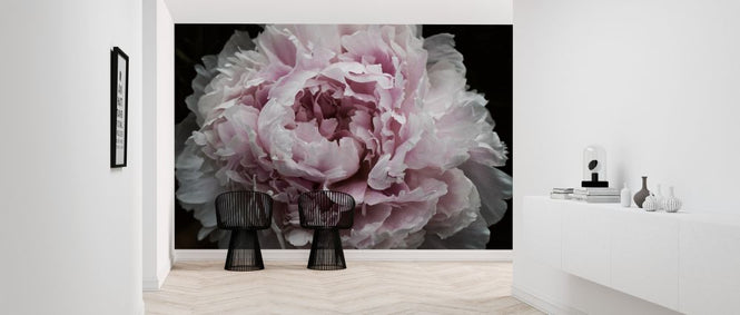 PHOTOWALL / Pink Peony Passion (e320484)