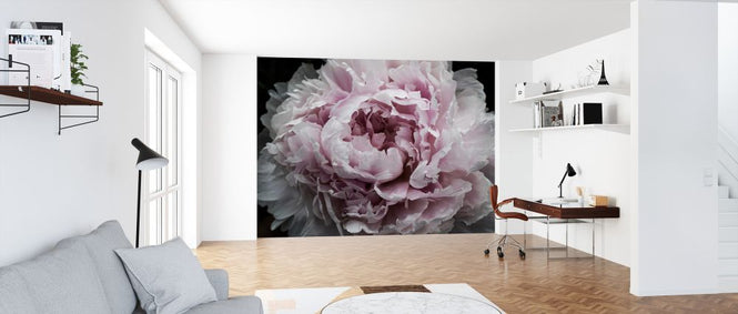 PHOTOWALL / Pink Peony Passion (e320484)
