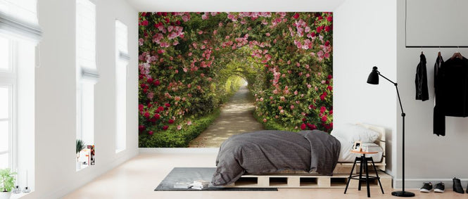 PHOTOWALL / Beautiful Path (e323077)