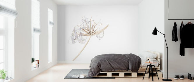 PHOTOWALL / Agapanthus (e323677)