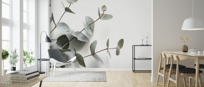 PHOTOWALL / Eucalyptus (e324139)