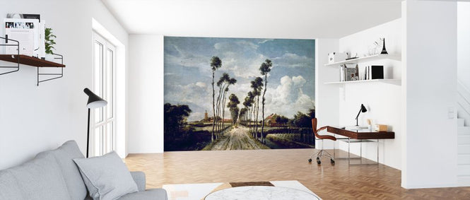PHOTOWALL / Avenue at Middelharnis - Infographics (e322007)