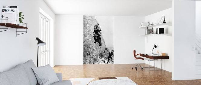 PHOTOWALL / Adventurer - Infographics (e322033)