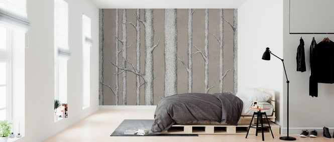 PHOTOWALL / Tree Trunk V (e324829)