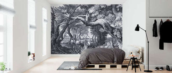 PHOTOWALL / Wood and Stream (e324836)