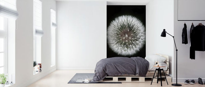 PHOTOWALL / Close Up Dand (e323343)