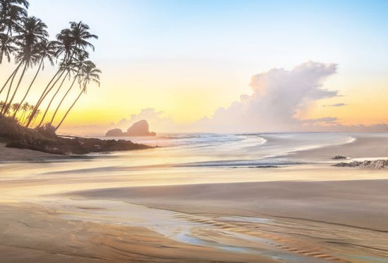 PHOTOWALL / Beachshore (e323266)