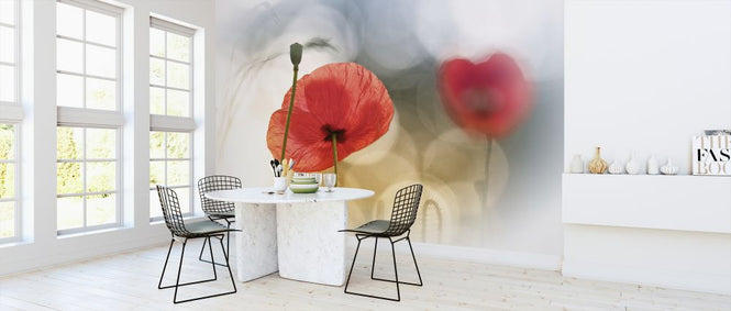 PHOTOWALL / Morning Poppies (e323660)
