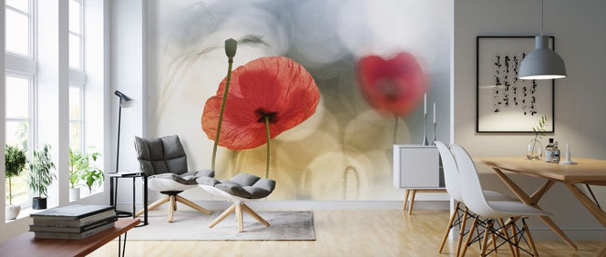 PHOTOWALL / Morning Poppies (e323660)