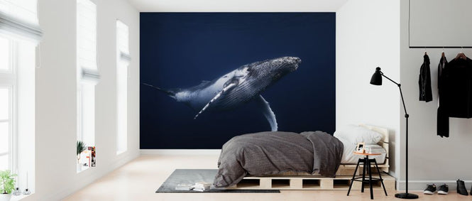 PHOTOWALL / Humpback Whale in Blue (e323674)