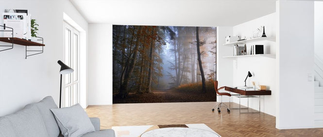 PHOTOWALL / Autumn Colors (e323737)