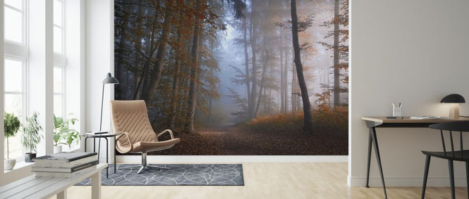 PHOTOWALL / Autumn Colors (e323737)