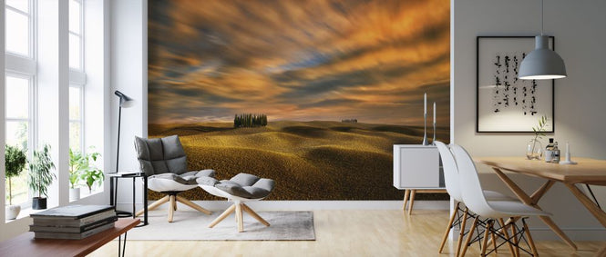 PHOTOWALL / Cypresses (e323755)