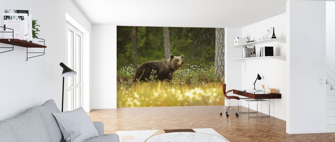PHOTOWALL / Brown Bear (e323768)