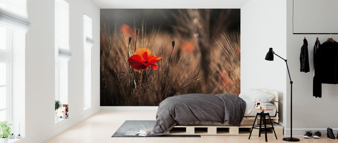PHOTOWALL / Poppy with Corn (e323776)