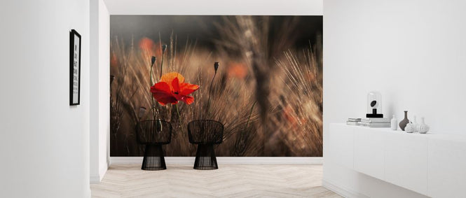 PHOTOWALL / Poppy with Corn (e323776)