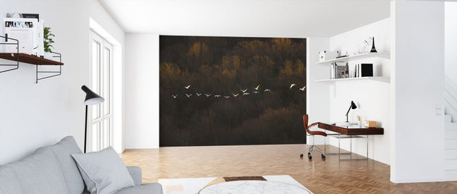 PHOTOWALL / Morning Mood (e323783)
