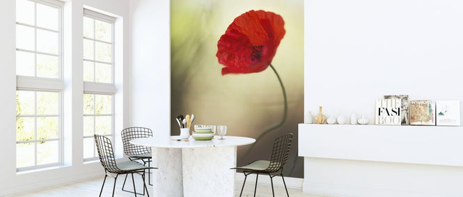 PHOTOWALL / Poppy Flower (e323817)