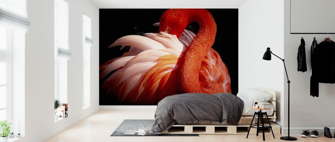 PHOTOWALL / Flamingo (e323942)