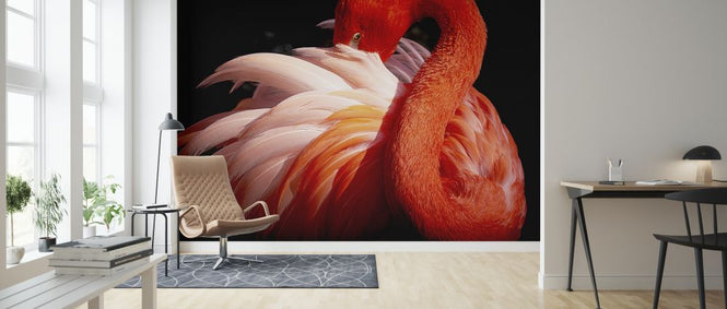 PHOTOWALL / Flamingo (e323942)