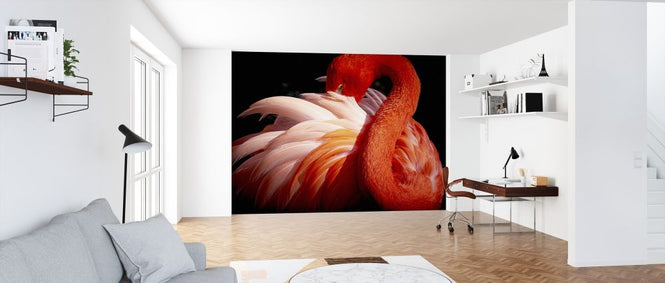 PHOTOWALL / Flamingo (e323942)