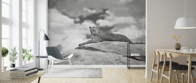 PHOTOWALL / Leopard on a Kopje (e323947)
