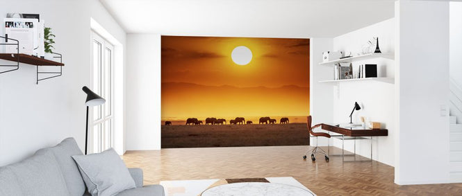 PHOTOWALL / Sunrise Parade (e323952)