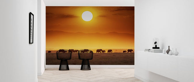 PHOTOWALL / Sunrise Parade (e323952)
