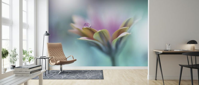 PHOTOWALL / Memories of Sea (e324032)