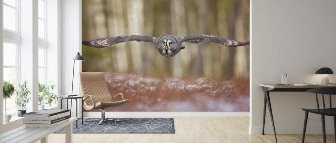 PHOTOWALL / Great Grey Owl (e324089)