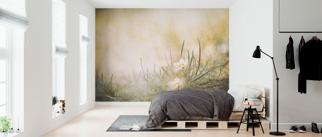 PHOTOWALL / Daisy (e324106)