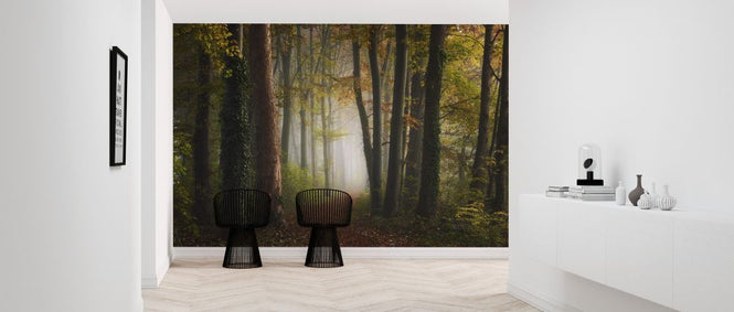 PHOTOWALL / Autumn Colorful Forest (e324125)