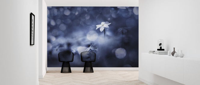 PHOTOWALL / Sparkling Background (e324131)
