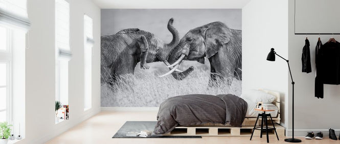 PHOTOWALL / Elephant Tai Chi (e324135)