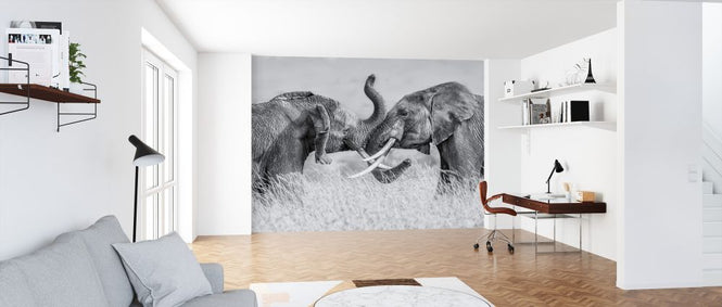 PHOTOWALL / Elephant Tai Chi (e324135)