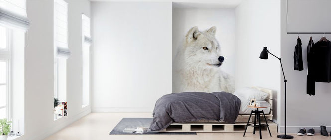 PHOTOWALL / Portrait of an Arctic Wolf (e324475)
