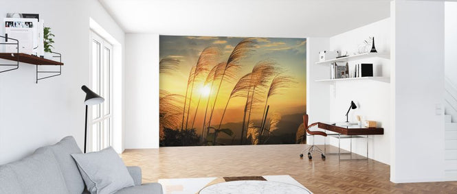 PHOTOWALL / Senna Sunrise (e326031)