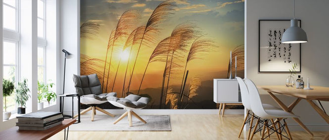 PHOTOWALL / Senna Sunrise (e326031)