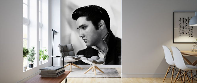 PHOTOWALL / Elvis Presley (e326074)