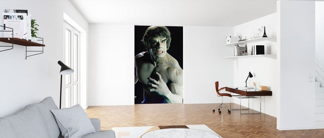 PHOTOWALL / Incredible Hulk the TV (e326094)