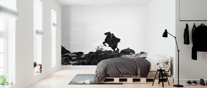 PHOTOWALL / Zorro (e326120)