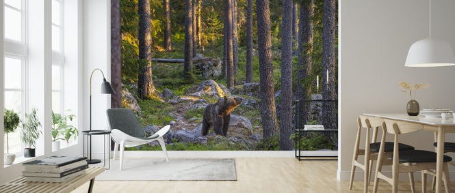 PHOTOWALL / Bear III (e324860)