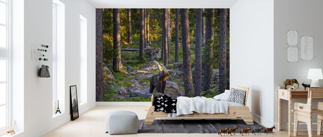 PHOTOWALL / Bear III (e324860)