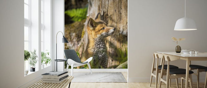 PHOTOWALL / Foxy IIII (e324874)