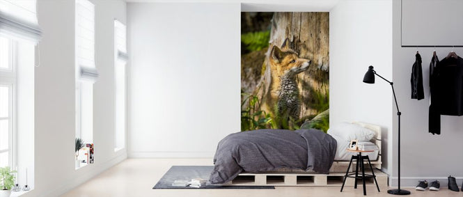 PHOTOWALL / Foxy IIII (e324874)